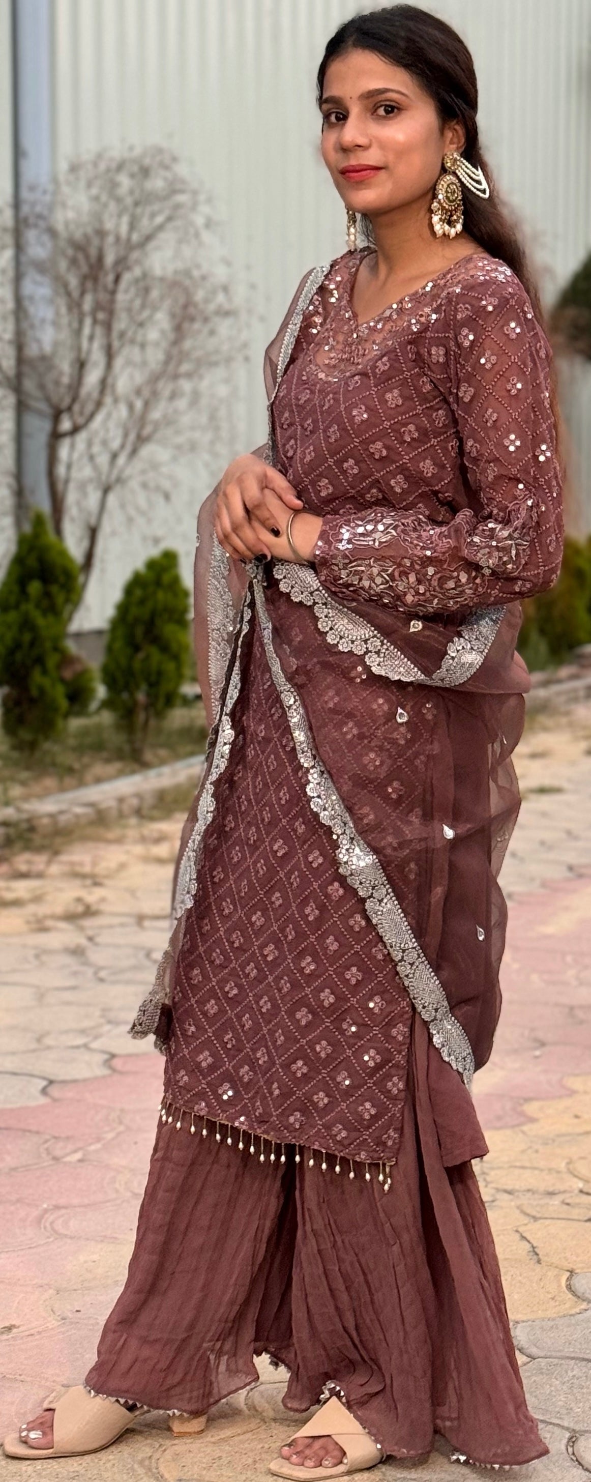 🌟 Ruhaniyat – Brown Embroidered Sharara Suit 🌟